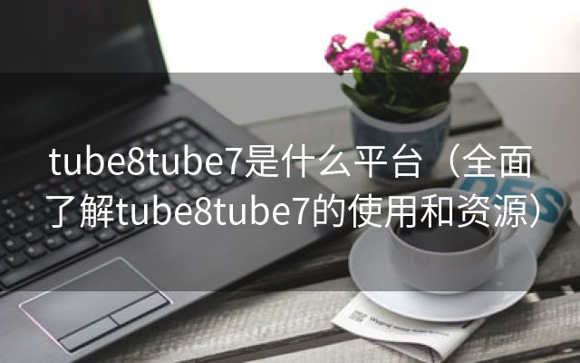 tube8tube7是什么平台（全面了解tube8tube7的使用和资源）